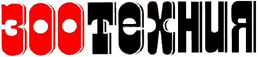 logo.gif