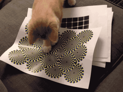34847-76a0efe80d1fde79c68656dd3441a2fb.gif