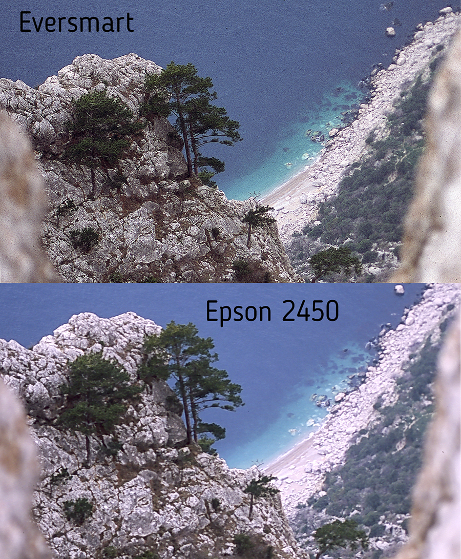 5_.jpg