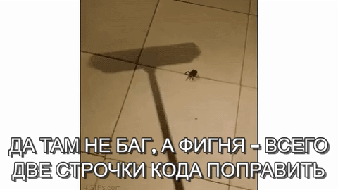 giphy.gif