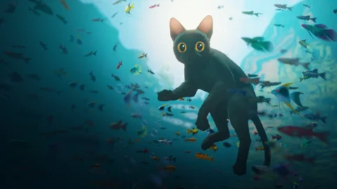 www.blender.org