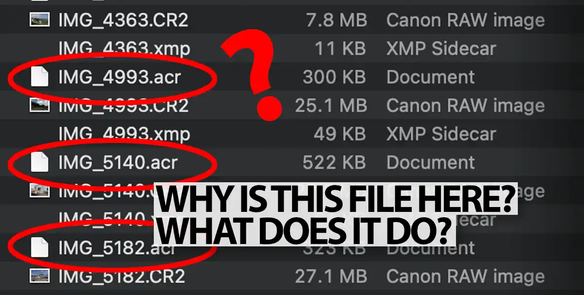 www.beyondphototips.com