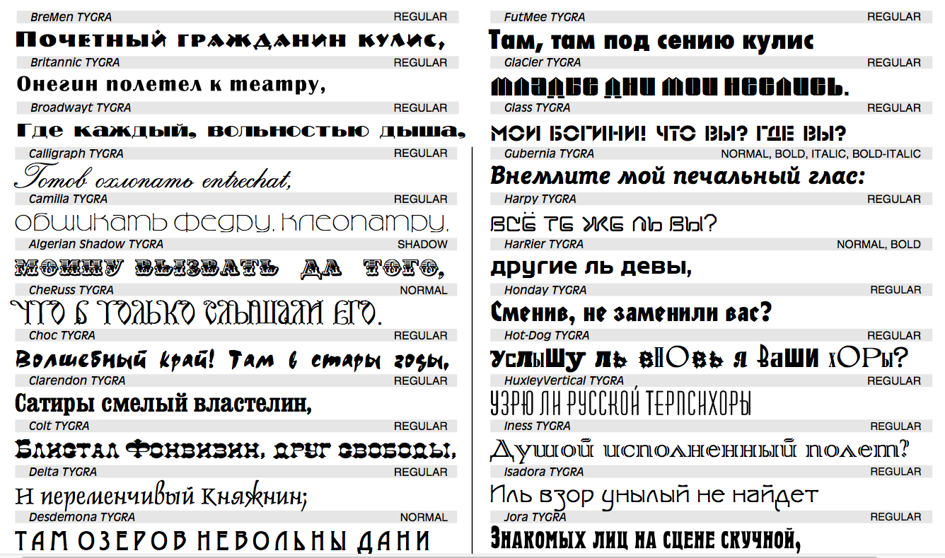 Tygra3000-CD-Catalogd.png