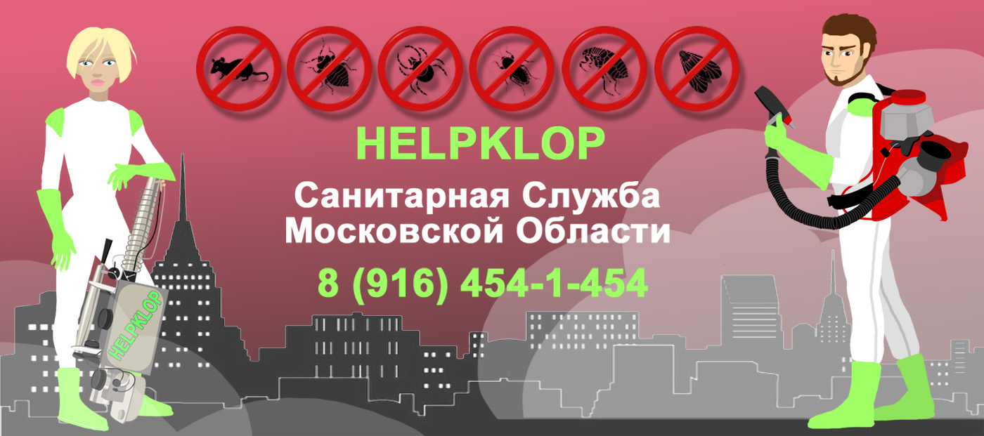 Санитарная служба. Helpklop.