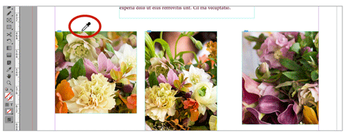 InDesign Eyedropper tool on edge of image