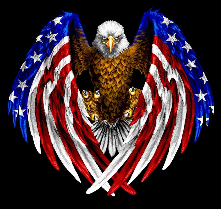 a2c12c4b5e27092f0b2033bdaeb94637--american-flag-eagle-eagle-wings.jpg