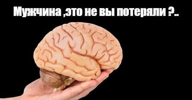 www.techinsider.ru